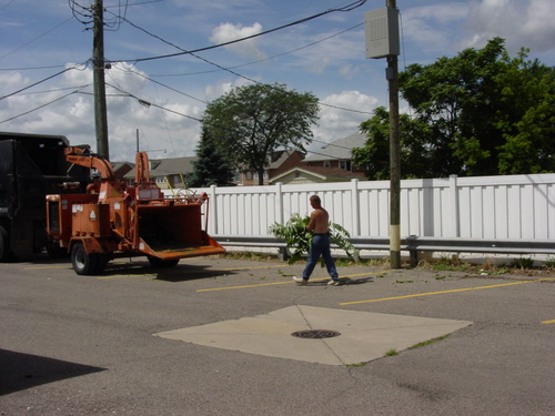 ./Gallery/2011 Bennet Lot Tree Removal/DSC06463.JPG